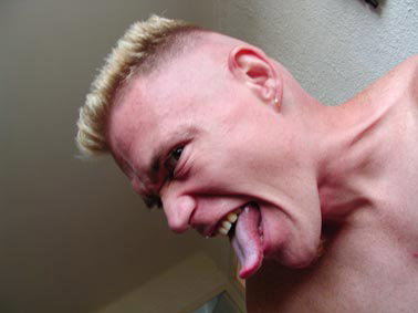 Dingue